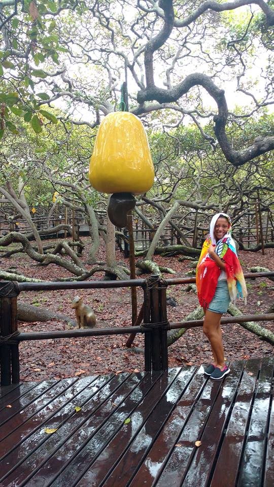 18767582_1152328274872015_2084088953431632213_n