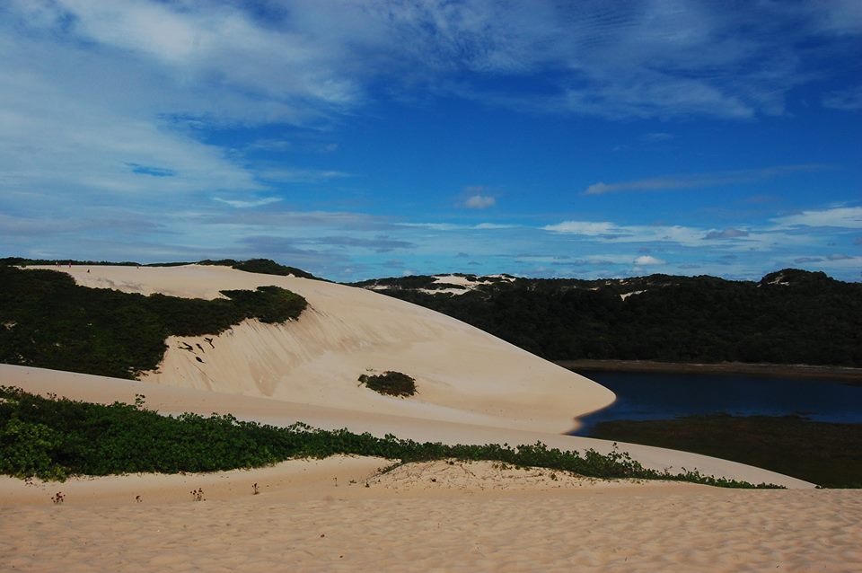 18921799_1152326694872173_2796822754918854019_n