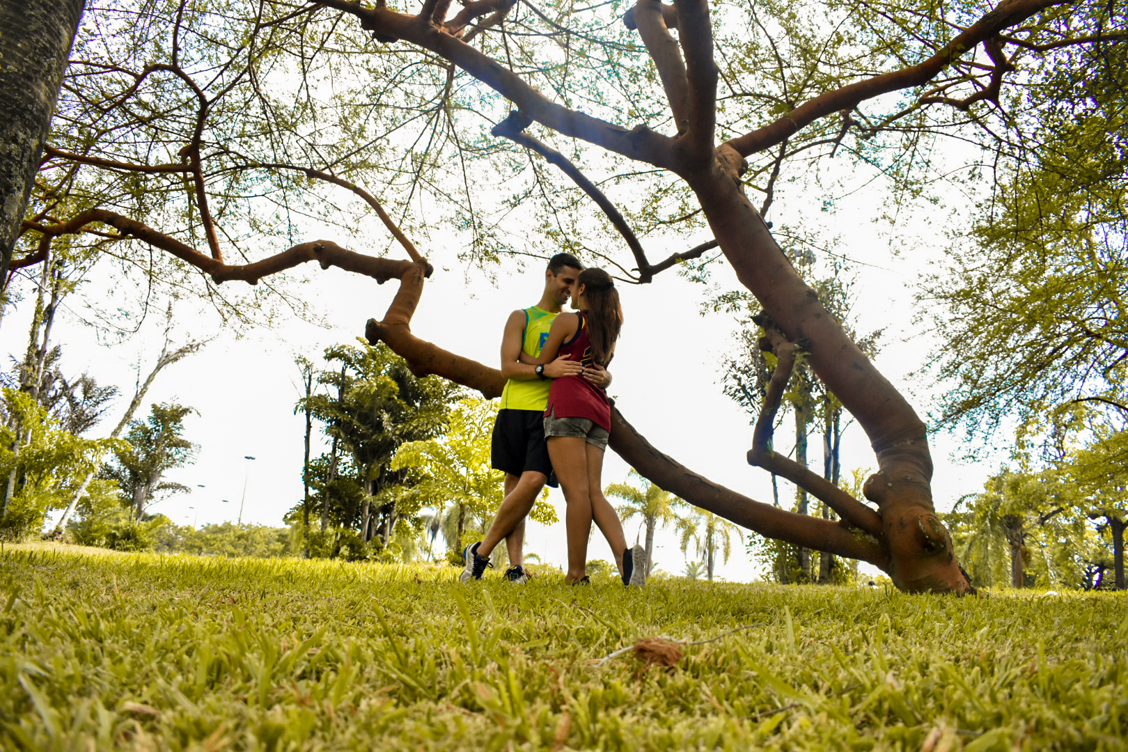 LRM_EXPORT_12397581330055_20190120_104454030