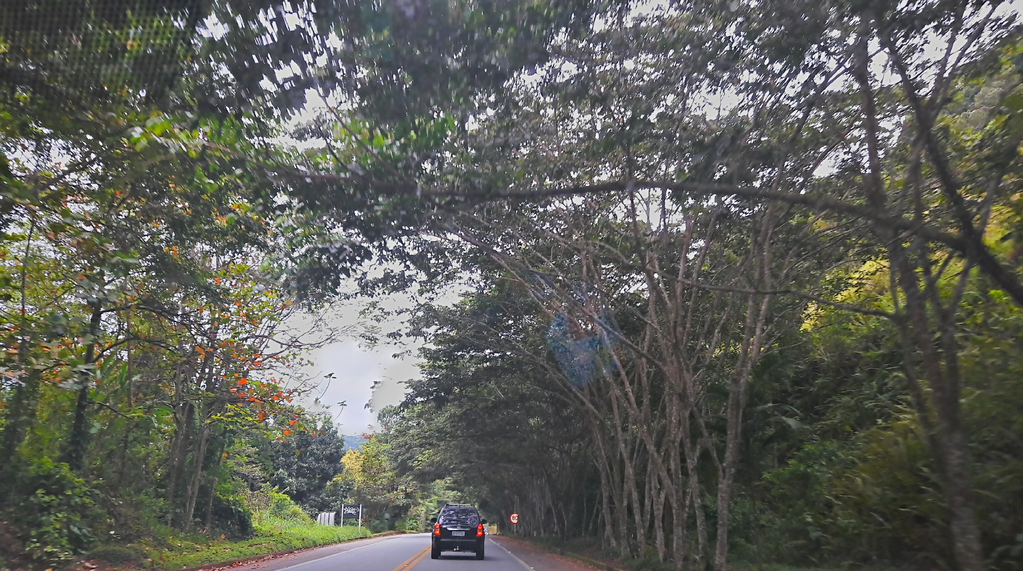 2018-09-09_11-57-27_HDR